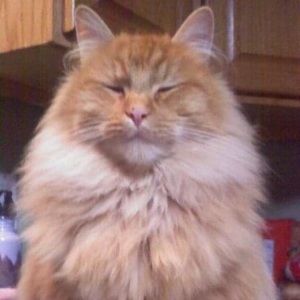 Meet your Posher, Kendra